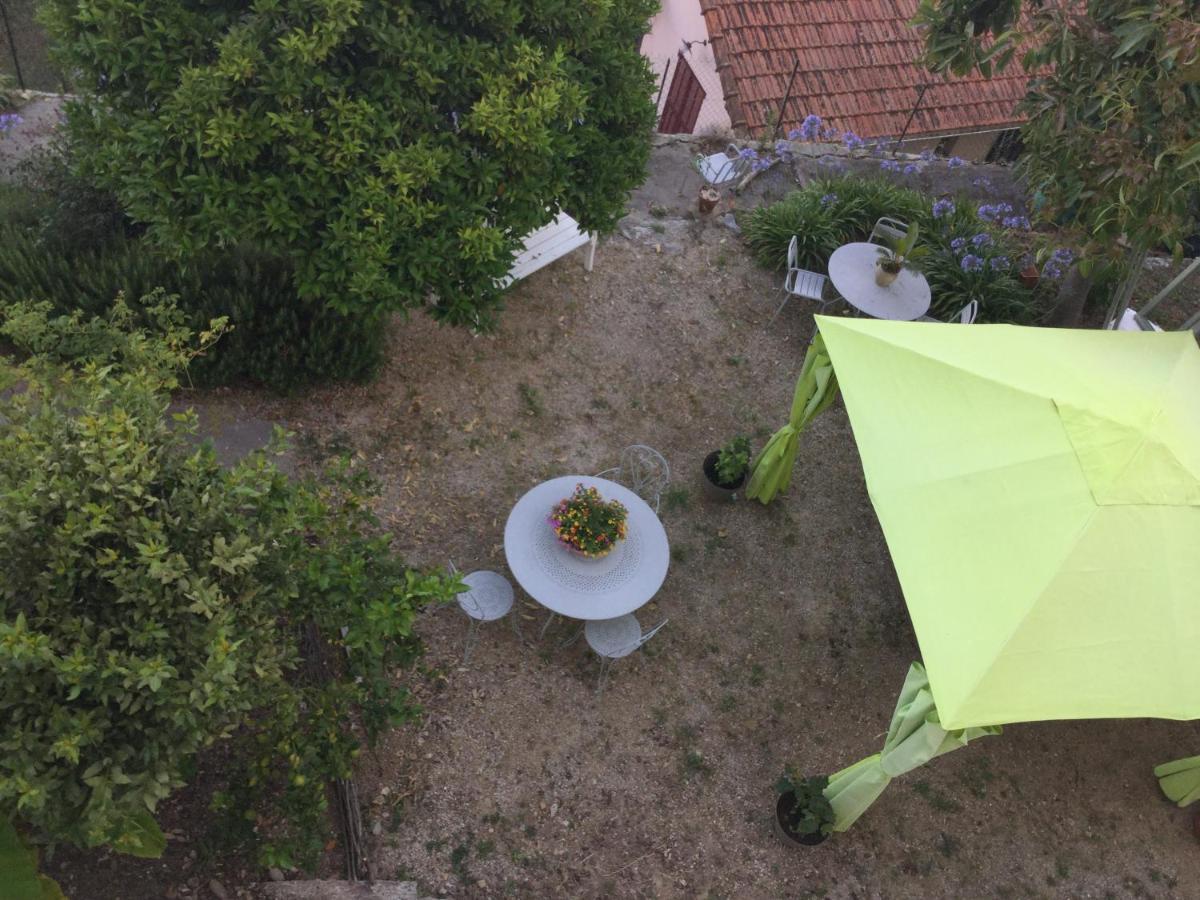 Les Palmiers Bed & Breakfast Grasse Exterior photo