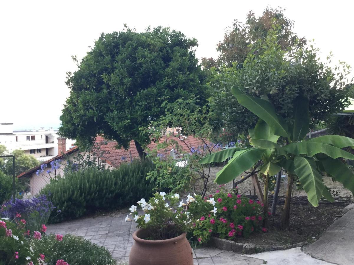 Les Palmiers Bed & Breakfast Grasse Exterior photo