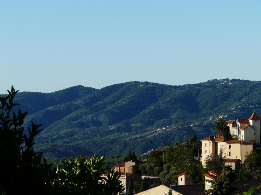 Les Palmiers Bed & Breakfast Grasse Exterior photo